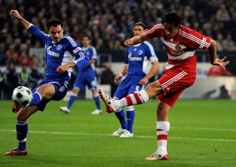 着雄鹿拥有 着雄鹿拥有